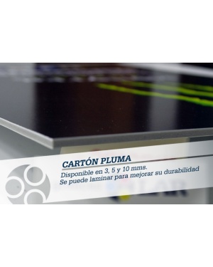 carton-pluma-perfil