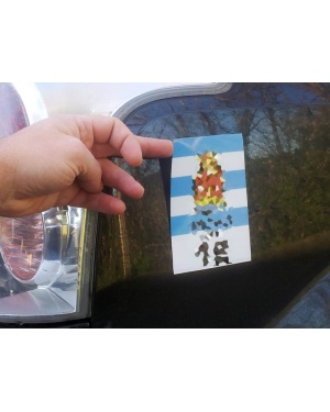 rotulos-magneticos-lar-2